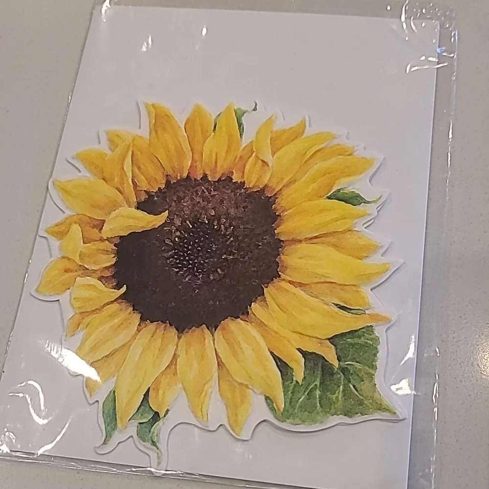 New 10 greeting card bundle